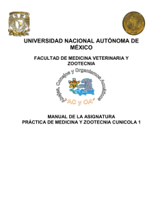 Práctica de Medicina y Zootecnia Cunícola I