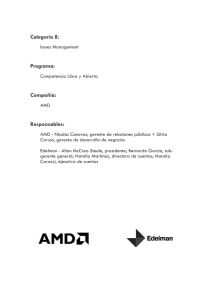 AMD2006