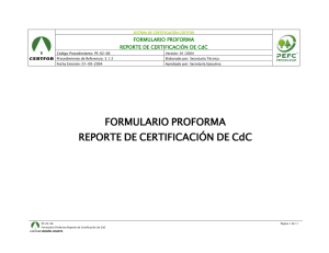 Reporte de Certificado CdC 2013 - Vera y Giannini Impresores S.A.