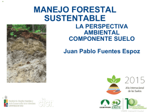 Juan Pablo Fuentes - Perspectiva Ambiental - Suelo - (Universidad de Chile)