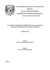 UNIVERSIDAD NACIONAL AUTONOMA DE MEXICO FACULTAD DE ECONOMÍA DIVISIÓN DE ESTUDIOS DE POSGRADO