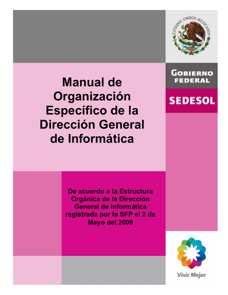 MANUAL DE ORGANIZACIÓN ESPECÍFICO DE LA DIRECCIÓN GENERAL DE ...