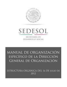 MANUAL DE ORGANIZACIÓN ESPECÍFICO DE LA DIRECCIÓN GENERAL DE ORGANIZACIÓN