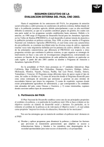 RESUMEN EJECUTIVO DE LA EVALUACION EXTERNA DEL PAJA, CNE-2003.
