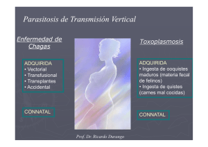Transmision Vertical: Toxoplasmosis