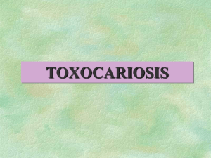 Toxocariosis