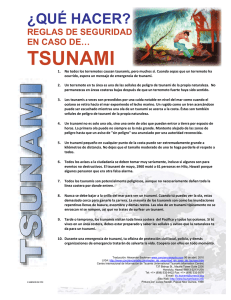 reglas de seguridad en caso de tsunami