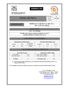 Bordillo C3 100x28x17x14 Bicapa (PDF)