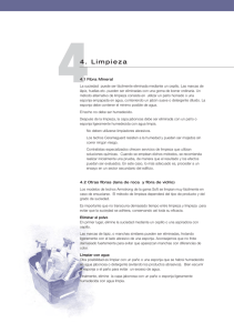 04 - Limpieza (PDF)
