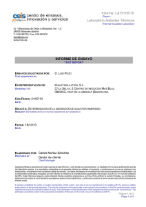 Ensayo CEIS (PDF)