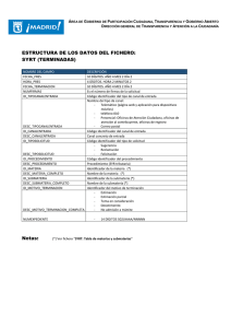 Estructura SYRT terminadas PDF, 52 Kbytes