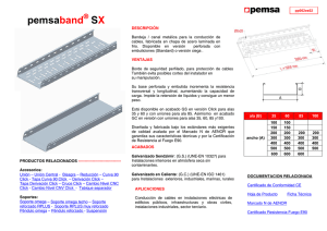 Hoja de producto_pemsaband bandeja SX.pdf