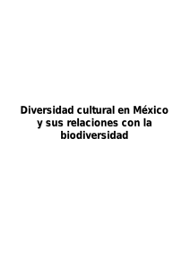 Diversidadculturalenmexico18