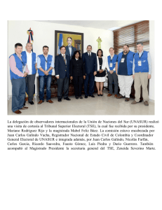 La delegación de observadores internacionales de la Unión de Naciones... una visita de cortesía al Tribunal Superior Electoral (TSE), la...