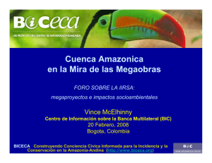 Cuenca Amazonica en la Mira de las Megaobras