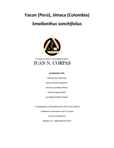 Monografia Smallanthus sonchifolius