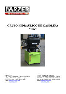 Grupos de gasolina e hidroneumÃ¡ticos (HG) (PDF)