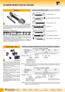 Cilindros sin vÃ¡stago de cable (PDF)