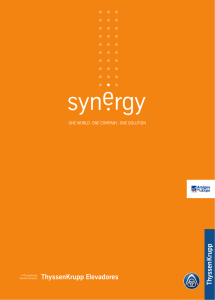 Synergy (PDF)