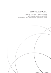 Cuentas Anuales Consolidadas a 31 de diciembre de 2013 DURO FELGUERA, S.A.