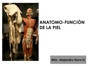 Clase_de_Piel_y_Anexos_Cutaneos_2013.pdf