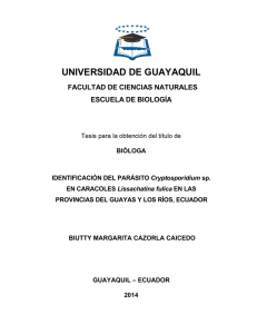 TESIS Cryptosporidium sp.pdf