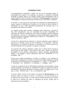 TESIS DE GRADO ROXANA LINO Q..pdf