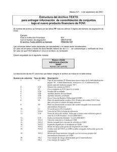 Estructura del archivo TEXTO para la individualización (5 septiembre 2001).