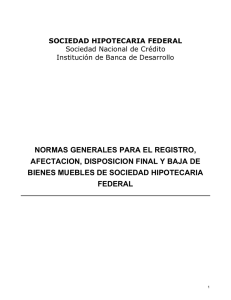 Normas Generales para el Registro, Afectación, Disposición Final y Baja de Bienes Muebles de SHF