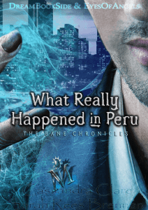 [Las Crónicas de Bane 01] Lo que realmente pasó en Perú