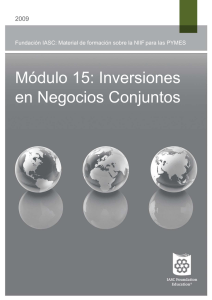 Módulo 15: Inversiones en Negocios Conjuntos  2009