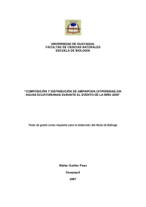 Composición y distribución de amphipodos...pdf