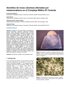 Xenolitos de rocas calcáreas afectadas por