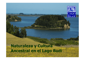 Naturaleza y Cultura Ancestral en el Lago Budi
