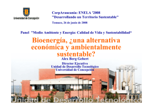 Bioenergía, ¿Una Alternativa Económica y Ambientalmente Sustentable?