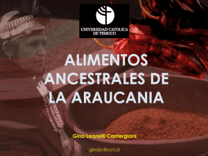 Alimentos ancestrales de La Araucanía