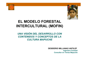 El Modelo Forestal Intercultural (Mofin)