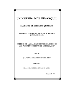 Tesis M Castello Cap 1 -9(pag 1 -121).pdf