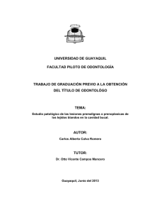 708 CALVA ROMERO.pdf