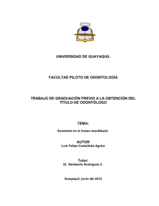 tesis luis castañeda.pdf