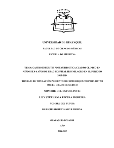 tesis lily.pdf