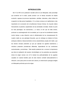 Marco Teórico A.pdf