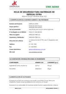 MSDS-DEPEGAL EXTRA
