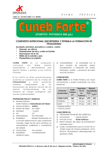 351cnica-CUNEB FORTE