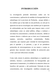 Salazar BRAVO contenido.pdf