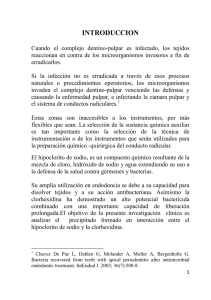 BAQUERIZO PAYE contenido.pdf