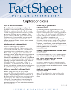 Criptosporidiosis