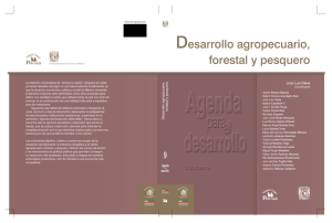 DESARROLLO ECONÓMICO: ESTRATEGIAS EXITOSAS. AGENDA PARA EL DESARROLLO (VOLUMEN 2).