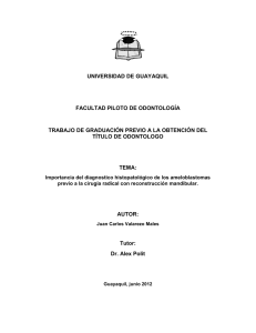 Juan Carlos Valarezo Males.pdf