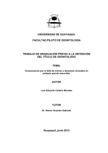 724 Luis Eduardo Cedeño Morales.pdf